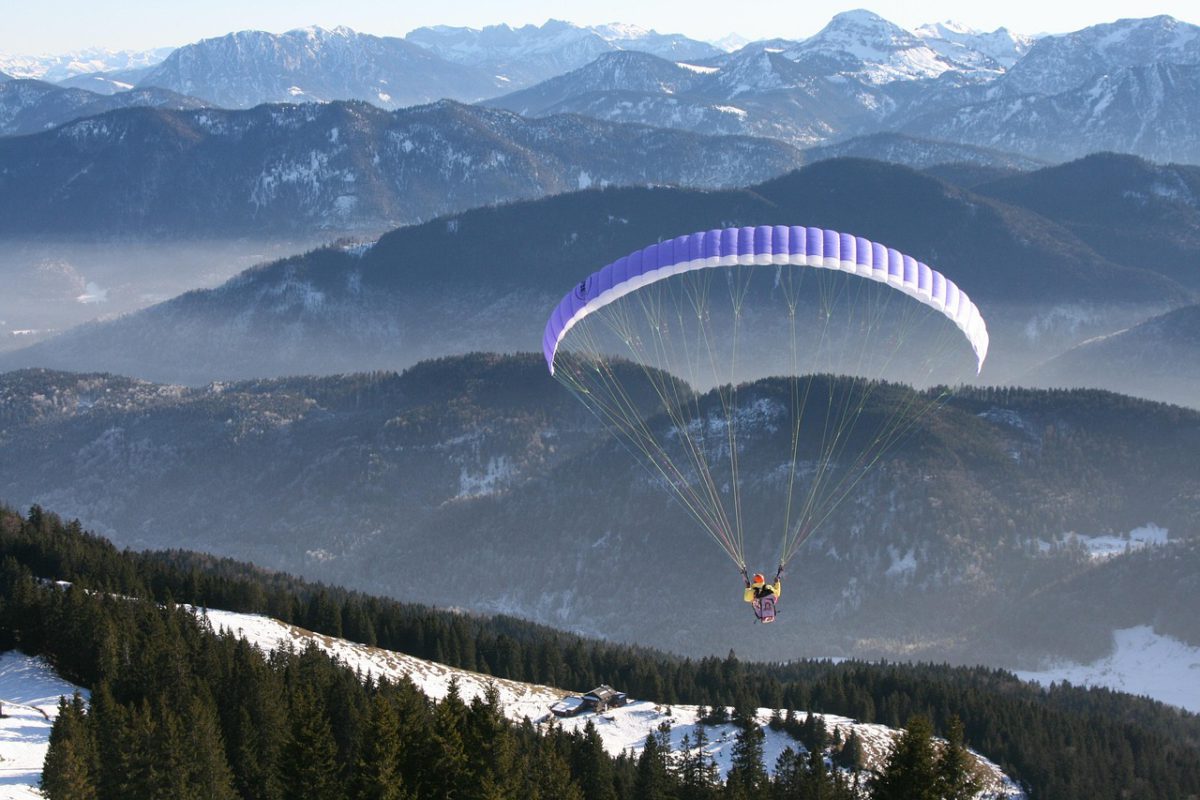 paraglider